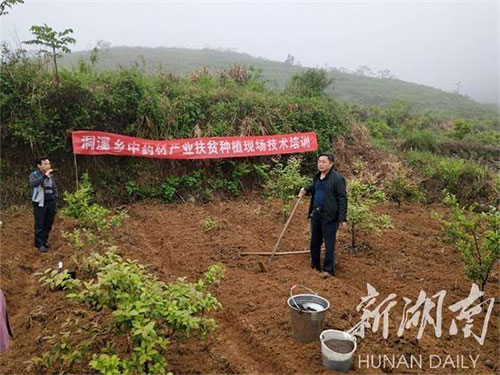 湖南中藥材種植,藥品批發,湖南神舟中藥飲片有限公司